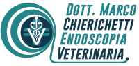 Sito Chierichetti Endoscopia